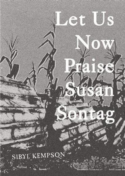 Produktbild: Let Us Now Praise Susan Sontag