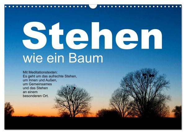Stehen wie ein Baum (Wandkalender 2026 DIN A3 quer), CALVENDO Monatskalender