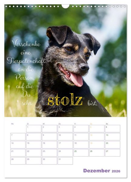 Produktbild: Tierische Challenges: F&uuml;r mehr Bewusstsein und mehr Tierschutz (Wandkalender 2026 DIN A3 hoch), CALVENDO Monatskalender