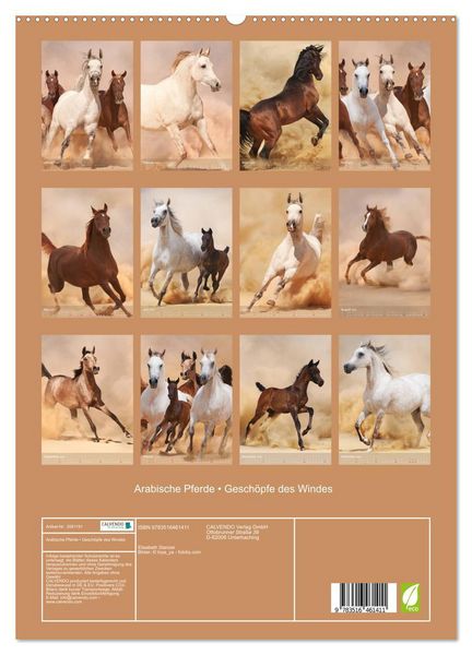 Produktbild: Arabische Pferde &bull; Gesch&ouml;pfe des Windes (hochwertiger Premium Wandkalender 2026 DIN A2 hoch), Kunstdruck in Hochglanz