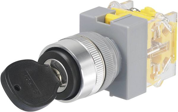 TRU COMPONENTS 704509 Y090-A-20Y/31 Schlüsselschalter 250 V/AC 5 A 1 x Ein/Aus/Ein 2 x 45 ° IP40 1 St.