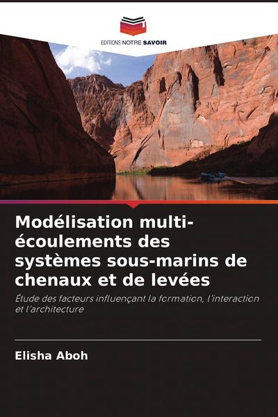 Produktbild: Mod&eacute;lisation multi-&eacute;coulements des syst&egrave;mes sous-marins de chenaux et de lev&eacute;es