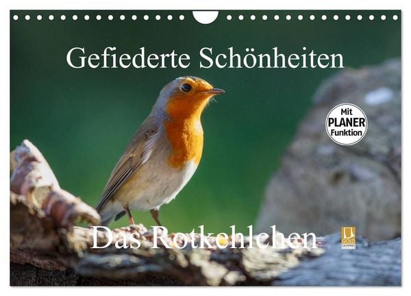 Produktbild: Gefiederte Sch&ouml;nheiten - Das Rotkehlchen / Planer (Wandkalender 2026 DIN A4 quer), CALVENDO Monatskalender