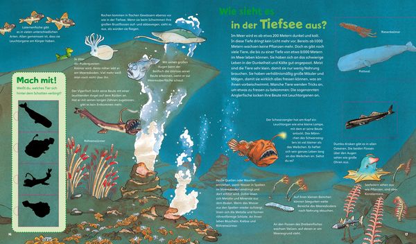 Das Meer / Was ist was junior Bd. 17