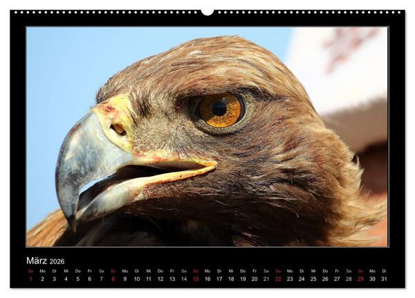 Produktbild: Unbekanntes Kirgistan (hochwertiger Premium Wandkalender 2026 DIN A2 quer), Kunstdruck in Hochglanz