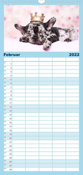 Produktbild: Bullys - Franz&ouml;sische Bulldoggen 2022 - Familienplaner hoch (Wandkalender 2022 , 21 cm x 45 cm, hoch)