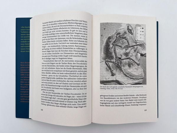 Produktbild: Eine neue Geschichte der S&auml;ugetiere