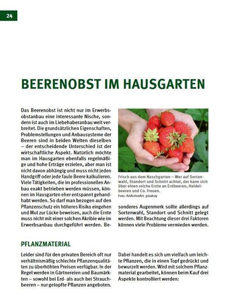 Produktbild: Beerenobst
