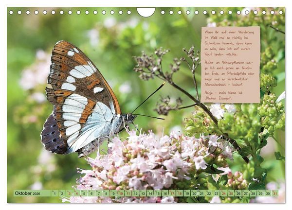 Produktbild: GEOclick Lernkalender: Steckbriefe einheimischer Schmetterlinge (Wandkalender 2026 DIN A4 quer), CALVENDO Monatskalender