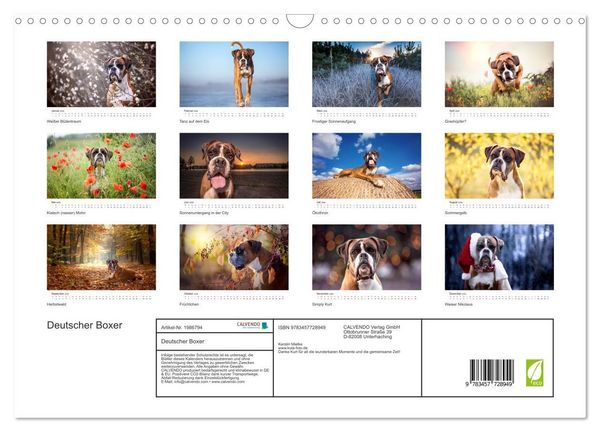 Produktbild: Deutscher Boxer (Wandkalender 2026 DIN A3 quer), CALVENDO Monatskalender
