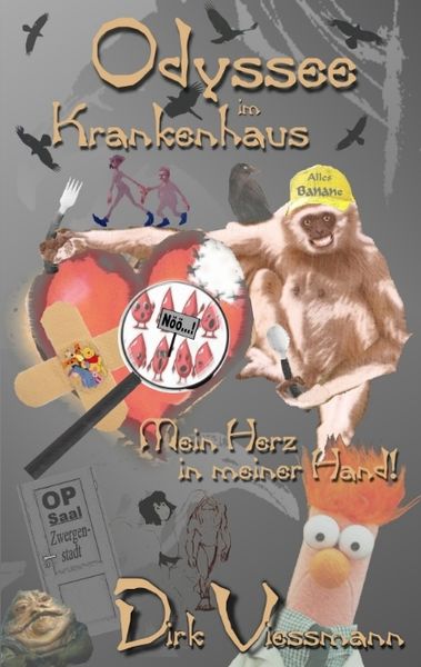 Odyssee im Krankenhaus, Taschenbuch von Dirk Viessmann, Tredition, 9783384243607