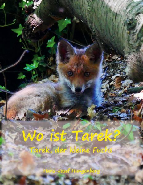 Produktbild: Wo ist Tarek?