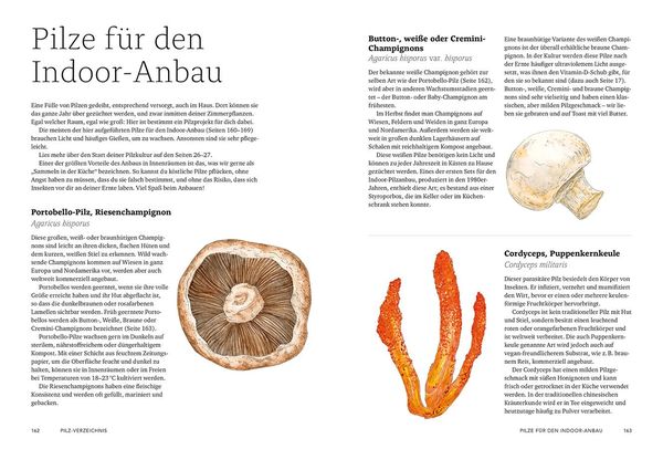 Produktbild: Pilzverr&uuml;ckt