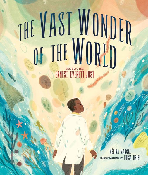 Produktbild: The Vast Wonder of the World