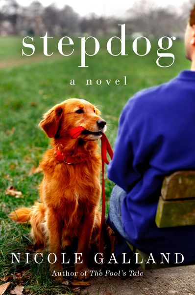 Produktbild: Stepdog