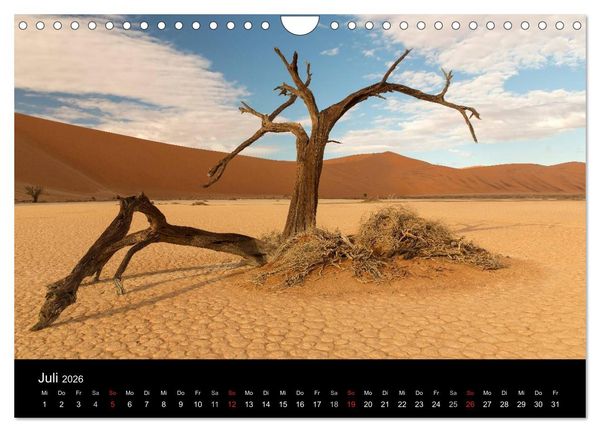 Produktbild: Lichterf&uuml;lltes Namibia (Wandkalender 2026 DIN A4 quer), CALVENDO Monatskalender