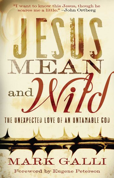 Produktbild: Jesus Mean and Wild