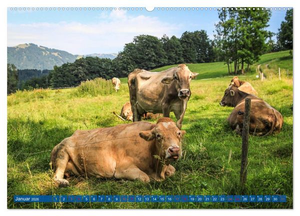 Produktbild: Allg&auml;u - Perle im S&uuml;den (hochwertiger Premium Wandkalender 2026 DIN A2 quer), Kunstdruck in Hochglanz