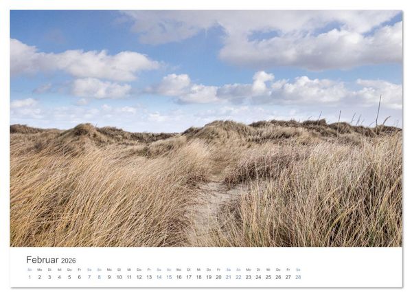 Produktbild: S&oslash;nderjylland - D&auml;nemarks S&uuml;den (Wandkalender 2026 DIN A2 quer), CALVENDO Monatskalender