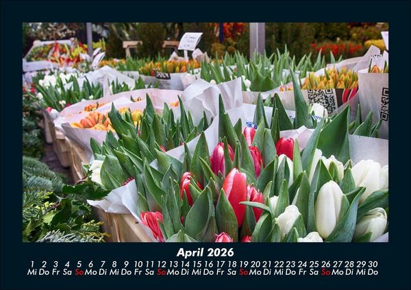 Produktbild: Blumenkalender 2026 Fotokalender DIN A5