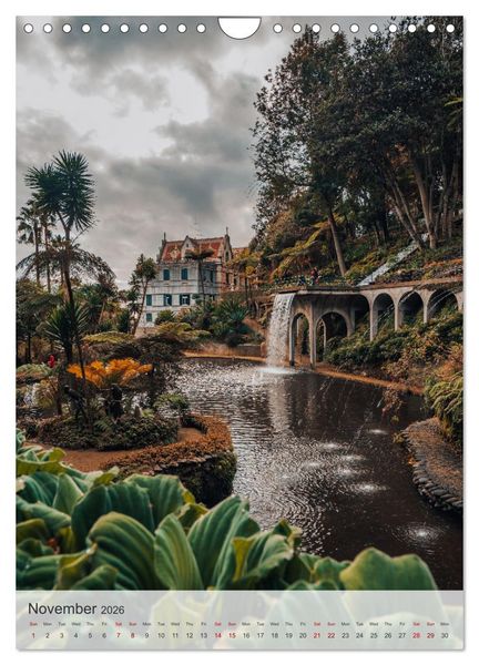 Produktbild: The Flower Island Madeira (Wall Calendar 2026 DIN A4 portrait), CALVENDO 12 Month Wall Calendar