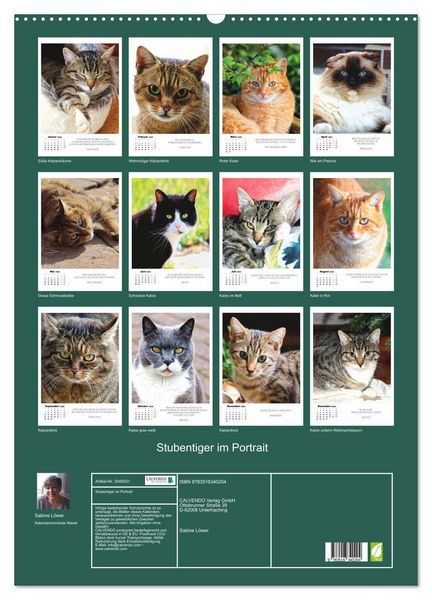 Produktbild: Stubentiger im Portrait (Wandkalender 2026 DIN A2 hoch), CALVENDO Monatskalender