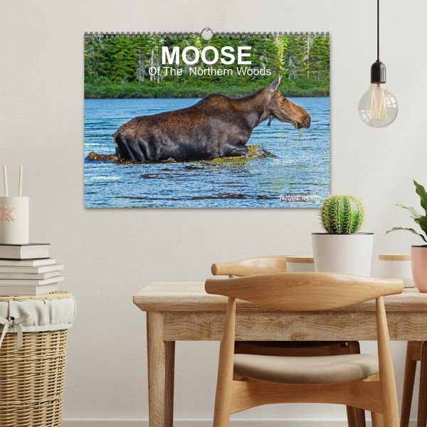 Produktbild: MOOSE Of The Northern Woods (Wall Calendar 2026 DIN A3 landscape), CALVENDO 12 Month Wall Calendar