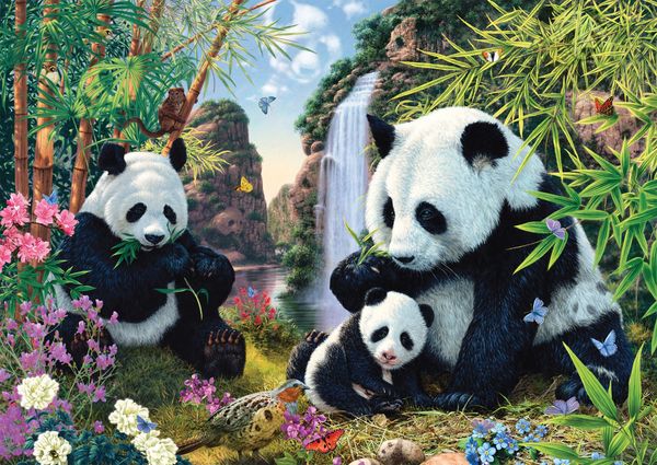 Produktbild: Pandafamilie am Wasserfall