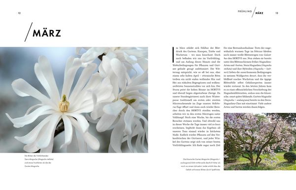 Produktbild: Peter Janke: Mein Garten im Wandel des Zeitgeistes und des Klimas