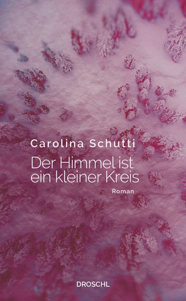 Produktbild: Der Himmel ist ein kleiner Kreis