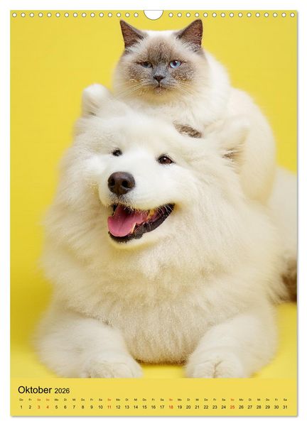 Produktbild: Freundschaftskalender - Katzen und Hunde, beste Freunde in Umarmung (Wandkalender 2026 DIN A3 hoch), CALVENDO Monatskalender