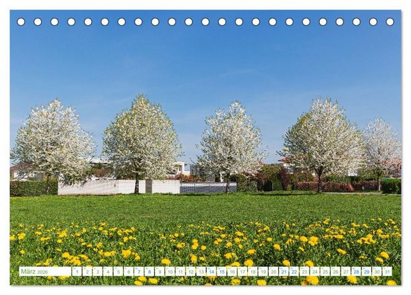 Produktbild: K&ouml;ln Widdersdorf - Bl&uuml;tentr&auml;ume und l&auml;ndliche Idylle (Tischkalender 2026 DIN A5 quer), CALVENDO Monatskalender