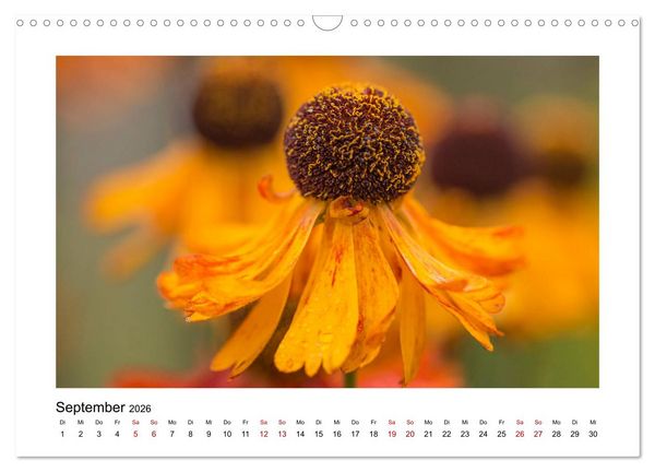 Produktbild: Oranger Bl&uuml;tentraum (Wandkalender 2026 DIN A3 quer), CALVENDO Monatskalender