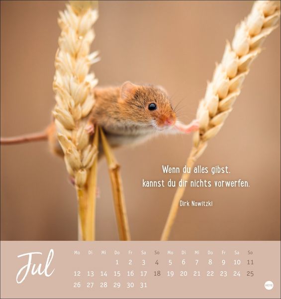 Produktbild: Never give up! Postkartenkalender 2027 - Durchhalten. Denn alles wird gut.