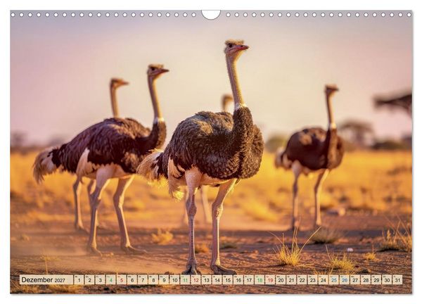 Produktbild: Gro&szlig;tiere - Weltweit (Wandkalender 2027 DIN A3 quer), CALVENDO Monatskalender
