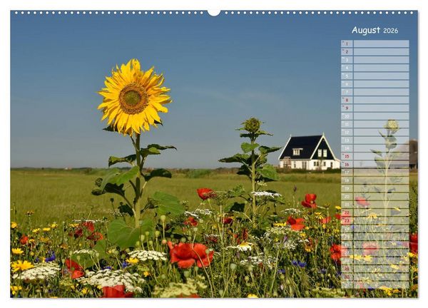 Produktbild: Ein Sommer auf Texel (Wandkalender 2026 DIN A2 quer), CALVENDO Monatskalender