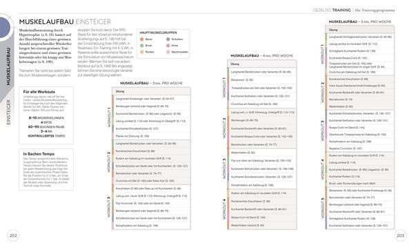Krafttraining – Die Anatomie verstehen