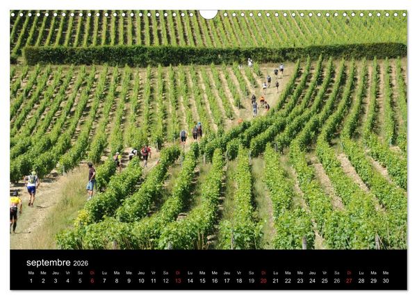 Produktbild: Trail Running De l'Envie &agrave; la Passion (Calendrier mural 2026 DIN A3 vertical), CALVENDO calendrier mensuel