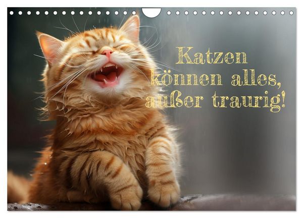 Produktbild: Katzen k&ouml;nnen alles, au&szlig;er traurig. (Wandkalender 2026 DIN A4 quer), CALVENDO Monatskalender