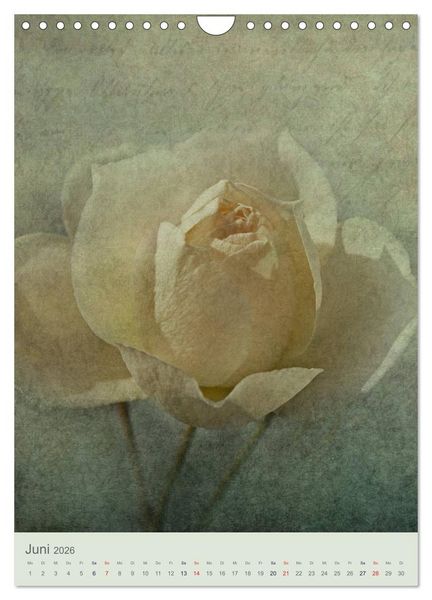 Produktbild: Flora (Wandkalender 2026 DIN A4 hoch), CALVENDO Monatskalender