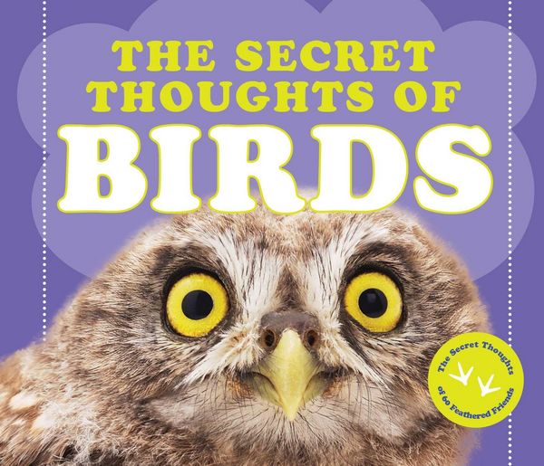 Produktbild: The Secret Thoughts of Birds