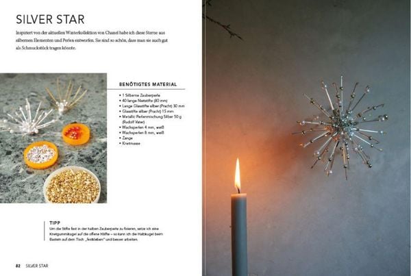 Produktbild: Das gro&szlig;e Weihnachtssterne-Buch