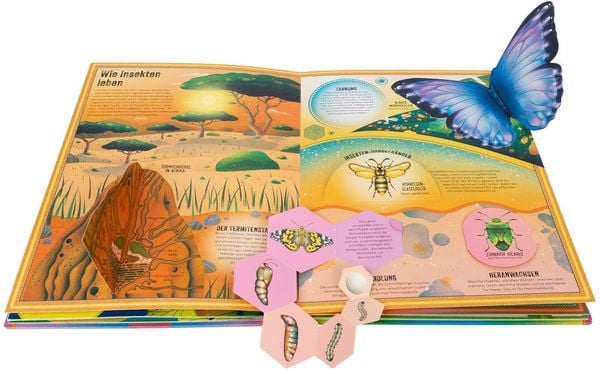 Das unglaubliche Pop-up-Buch Insekten