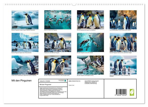 Produktbild: Mit den Pinguinen (hochwertiger Premium Wandkalender 2026 DIN A2 quer), Kunstdruck in Hochglanz