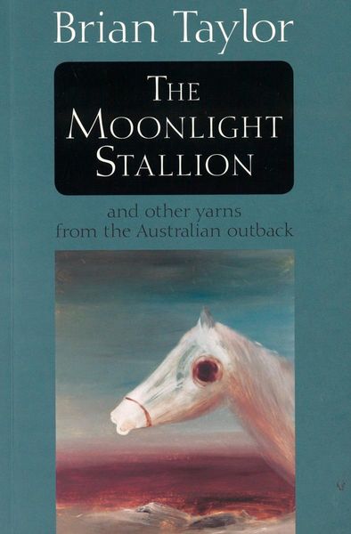 Produktbild: The Moonlight Stallion