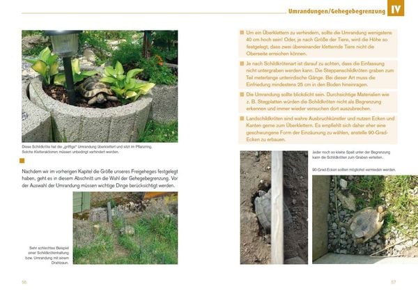 Produktbild: Freigehege f&uuml;r Europ&auml;ische Landschildkr&ouml;ten