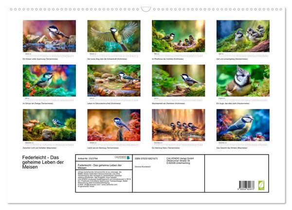 Produktbild: Federleicht - Das geheime Leben der Meisen (Wandkalender 2027 DIN A2 quer), CALVENDO Monatskalender