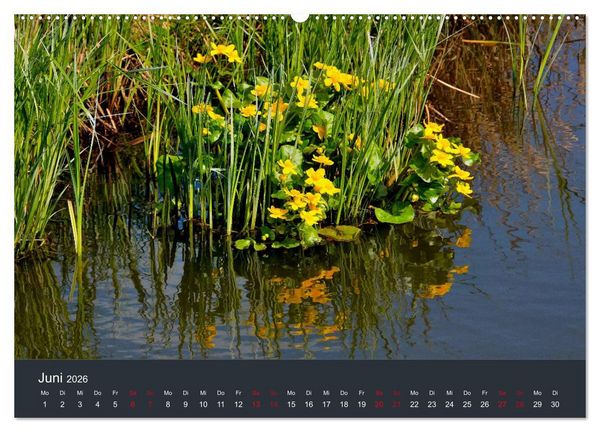 Produktbild: Heimat im Bremer Blockland (Wandkalender 2026 DIN A2 quer), CALVENDO Monatskalender