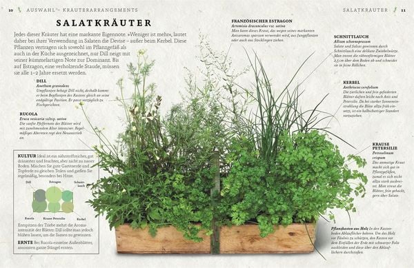 Produktbild: K&uuml;chenkr&auml;uter anbauen und genie&szlig;en