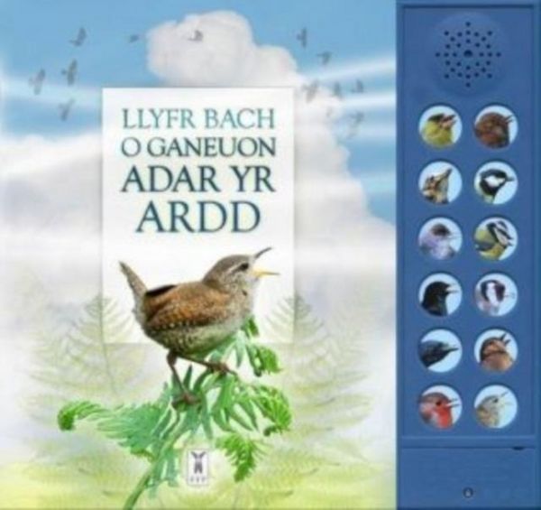 Produktbild: Llyfr Bach O Ganeuon Adar Yr Ardd